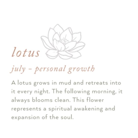 July Lotus Birth Flower Charm Pendant Necklace - Picture 9 of 15